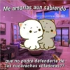 Me amarías aun sabiendo
@bomnitos.posting en Instagram
39
que no podré defenderte de
las cucarachas voladoras??