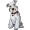 Must   Dogs4 30