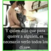 Y quien dijo que para
querer a alguien, es
necesario verlo todos los
diaso.