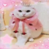 35907