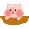 Hamstercito 6