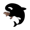 Whale 5
