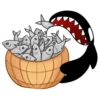 Whale 7