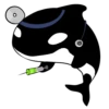 Whale 8