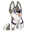 Toony husky 2 8