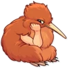 Birds 5