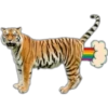 Tiger 6