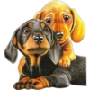 Must   Dogs ‍ 2 7