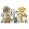 Must   Dogs ‍ 3 6