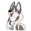 Toony husky 2 11