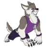Toony husky 2 12