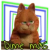 Garfield  the (Rose ♛) 6