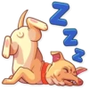 Tuna the Dog 7