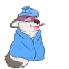 T  ny husky 7
