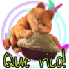 Garfield  the (Rose ♛) 9
