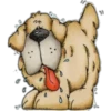 Must   Dogs ‍ 2 9