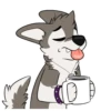 Toony husky 2 13