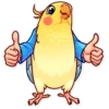 Birds 8