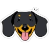Must   Dogs ‍ 1 10