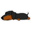 Must   Dogs ‍ 1 11