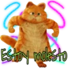Garfield  the (Rose ♛) 13