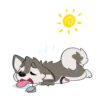 {}}