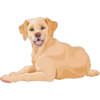 Must   Dogs ‍ 1 12