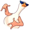 Birds 10