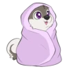 Toony husky 2 15