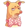 Tuna the Dog 10