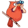 Birds 11