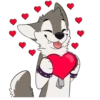 T  ny husky 12