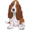Must   Dogs ‍ 2 11