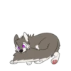 T  ny husky 13