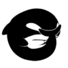 Whale 11