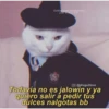 Gatitos para conquistar
a tu CRUSH
O@drugs2love
Todavía no es jalowin y ya
quiero salir á pedir tus
dulces nalgotas bb
