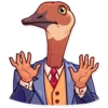 Birds 14