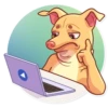 Tuna the Dog 12