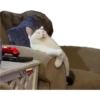 L.O
W