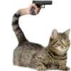 Outros memes 2 20