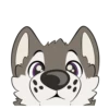 T  ny husky 17