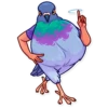 Birds 16