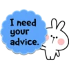 Spoiled Rabbit Useful Talk 11