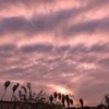 Nubes de Adolfo ️ ️ 14