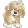 Must   Dogs ‍ 3 11
