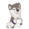 T  ny husky 18