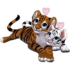 Tiger 13