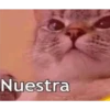 De todo un poco 16