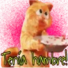 Garfield  the (Rose ♛) 17
