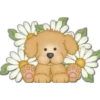 Must   Dogs ‍ 3 14